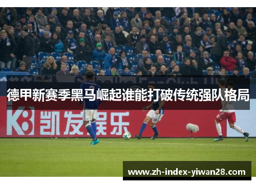 德甲新赛季黑马崛起谁能打破传统强队格局